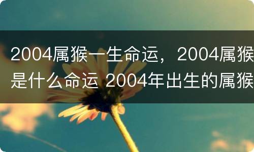 2004属猴一生命运，2004属猴是什么命运 2004年出生的属猴的人今年的命运