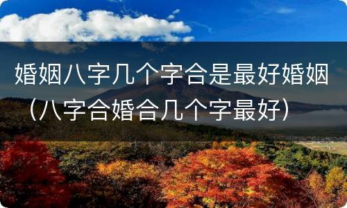 婚姻八字几个字合是最好婚姻（八字合婚合几个字最好）