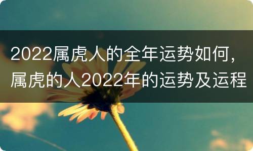2022属虎人的全年运势如何，属虎的人2022年的运势及运程每月