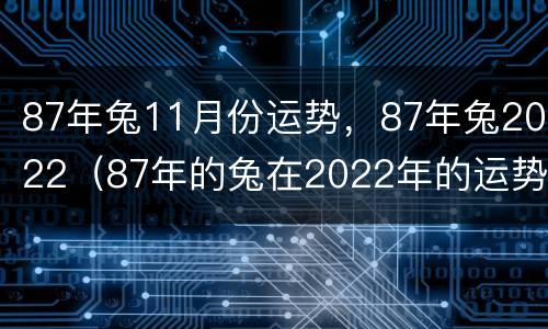 87年兔11月份运势，87年兔2022（87年的兔在2022年的运势）