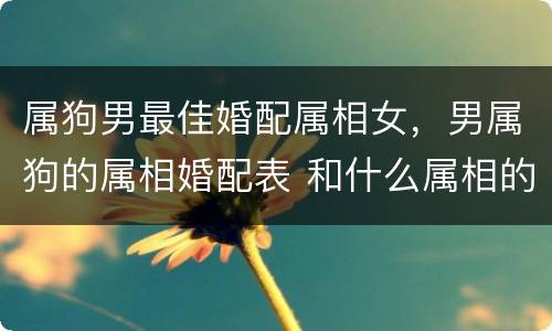 属狗男最佳婚配属相女，男属狗的属相婚配表 和什么属相的女生最配