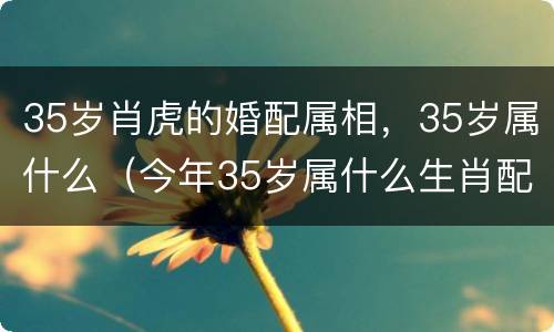 35岁肖虎的婚配属相，35岁属什么（今年35岁属什么生肖配对）