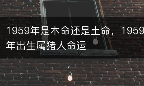 1959年是木命还是土命，1959年出生属猪人命运