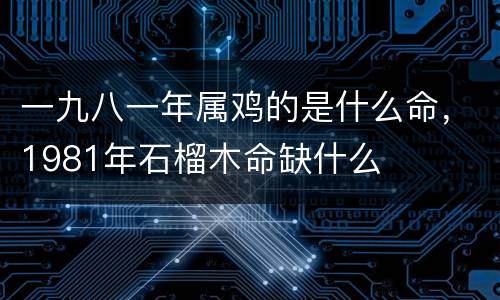 一九八一年属鸡的是什么命，1981年石榴木命缺什么