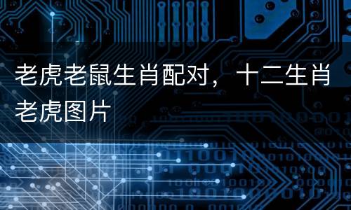 老虎老鼠生肖配对，十二生肖老虎图片