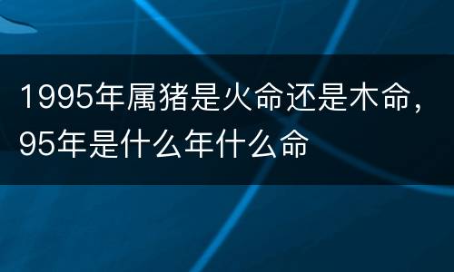 1995年属猪是火命还是木命，95年是什么年什么命