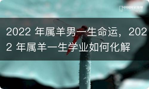 2022 年属羊男一生命运，2022 年属羊一生学业如何化解
