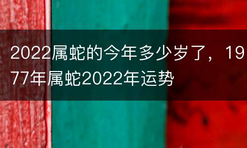 2022属蛇的今年多少岁了，1977年属蛇2022年运势