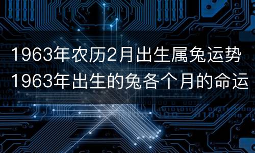 1963年农历2月出生属兔运势 1963年出生的兔各个月的命运