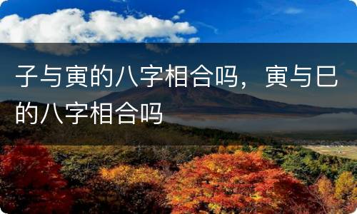 子与寅的八字相合吗，寅与巳的八字相合吗