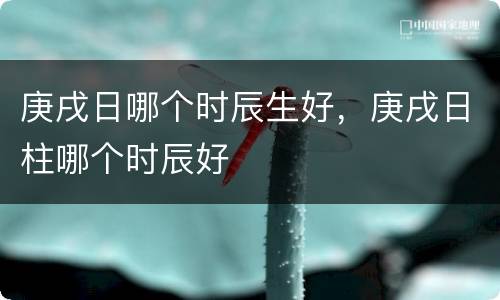 庚戌日哪个时辰生好，庚戌日柱哪个时辰好