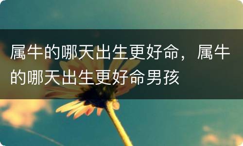 属牛的哪天出生更好命，属牛的哪天出生更好命男孩