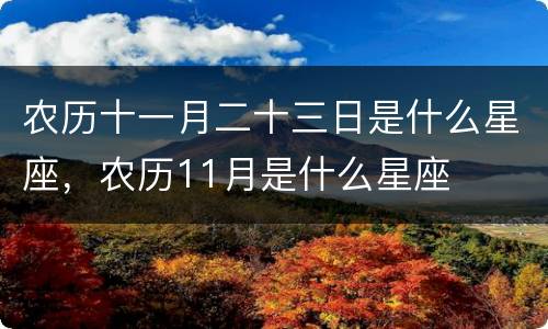 农历十一月二十三日是什么星座，农历11月是什么星座