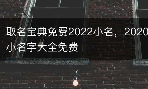 取名宝典免费2022小名，2020小名字大全免费