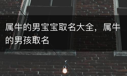 属牛的男宝宝取名大全，属牛的男孩取名