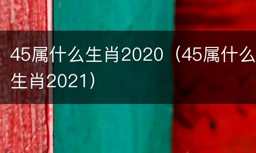 45属什么生肖2020（45属什么生肖2021）