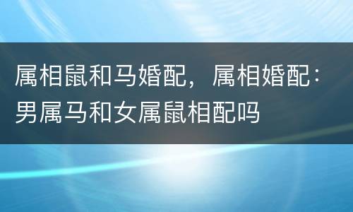 属相鼠和马婚配，属相婚配：男属马和女属鼠相配吗