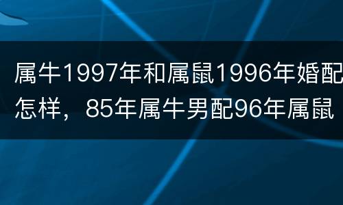 属牛1997年和属鼠1996年婚配怎样，85年属牛男配96年属鼠女好吗