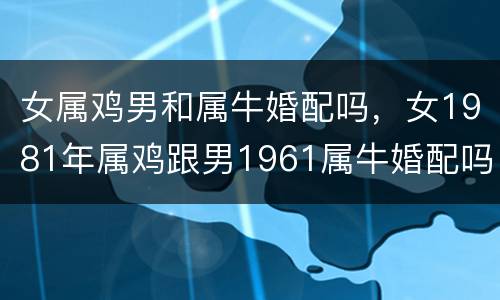 女属鸡男和属牛婚配吗，女1981年属鸡跟男1961属牛婚配吗j。