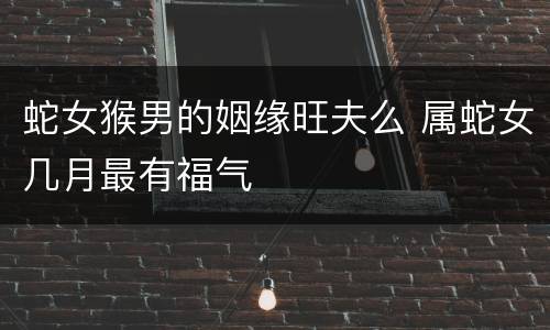 蛇女猴男的姻缘旺夫么 属蛇女几月最有福气