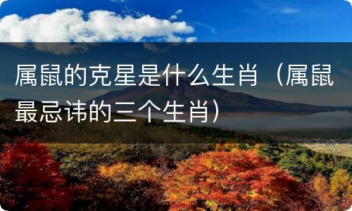 属鼠的克星是什么生肖（属鼠最忌讳的三个生肖）