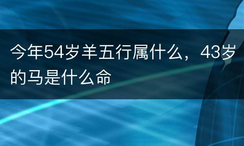今年54岁羊五行属什么，43岁的马是什么命