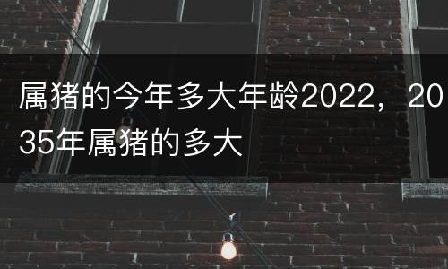 属猪的今年多大年龄2022，2035年属猪的多大