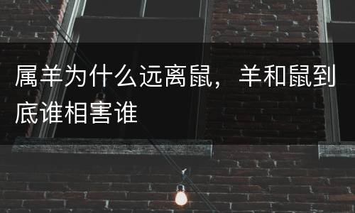 属羊为什么远离鼠，羊和鼠到底谁相害谁