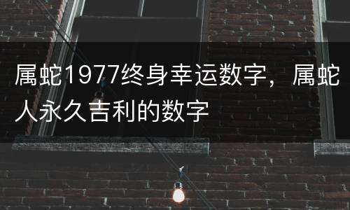 属蛇1977终身幸运数字，属蛇人永久吉利的数字