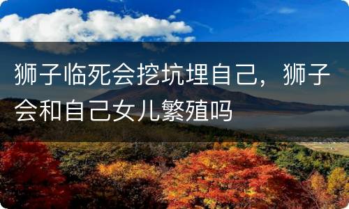 狮子临死会挖坑埋自己，狮子会和自己女儿繁殖吗