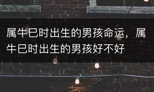 属牛巳时出生的男孩命运，属牛巳时出生的男孩好不好