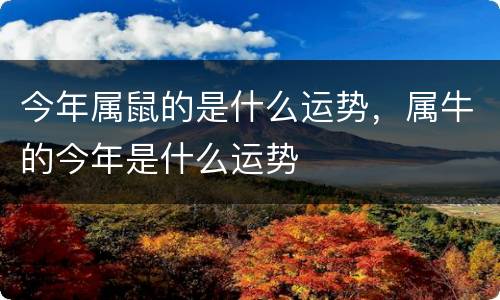 今年属鼠的是什么运势，属牛的今年是什么运势