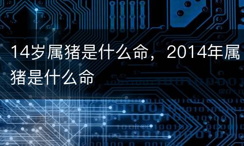 14岁属猪是什么命，2014年属猪是什么命