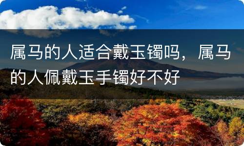 属马的人适合戴玉镯吗，属马的人佩戴玉手镯好不好