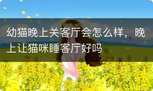 幼猫晚上关客厅会怎么样，晚上让猫咪睡客厅好吗