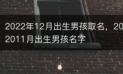 2022年12月出生男孩取名，202011月出生男孩名字