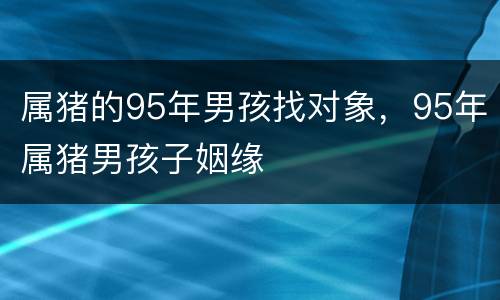 属猪的95年男孩找对象，95年属猪男孩子姻缘