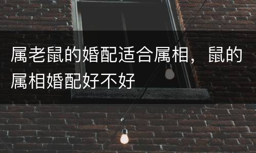 属老鼠的婚配适合属相，鼠的属相婚配好不好