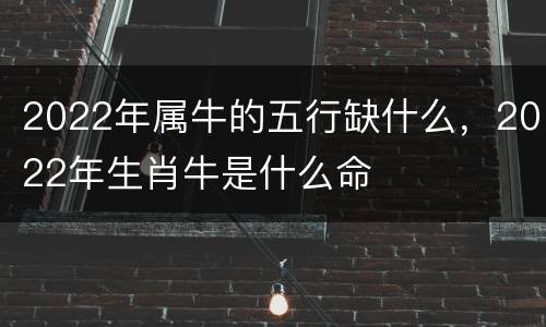2022年属牛的五行缺什么，2022年生肖牛是什么命