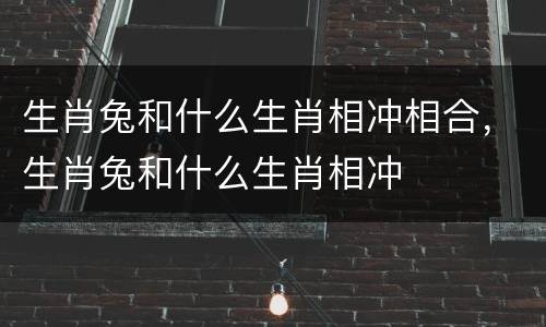 生肖兔和什么生肖相冲相合，生肖兔和什么生肖相冲