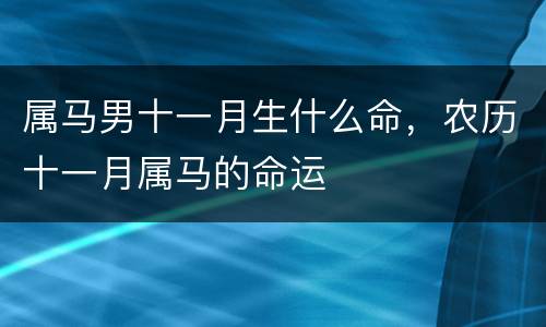 属马男十一月生什么命，农历十一月属马的命运