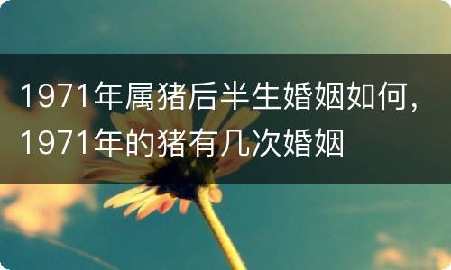 1971年属猪后半生婚姻如何，1971年的猪有几次婚姻