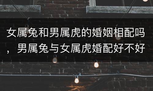 女属兔和男属虎的婚姻相配吗，男属兔与女属虎婚配好不好