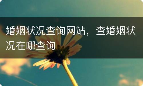 婚姻状况查询网站，查婚姻状况在哪查询