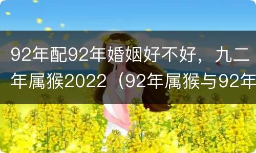 92年配92年婚姻好不好，九二年属猴2022（92年属猴与92年猴婚配好吗）