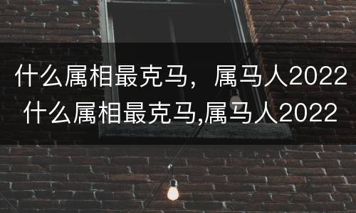 什么属相最克马，属马人2022 什么属相最克马,属马人2022年运势