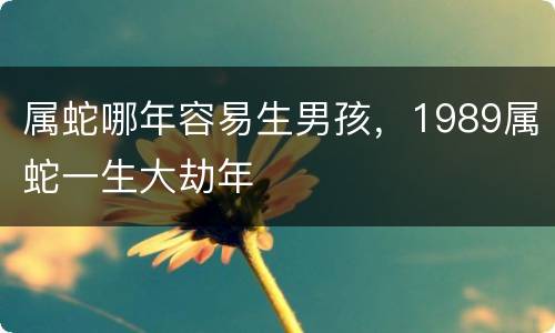 属蛇哪年容易生男孩，1989属蛇一生大劫年