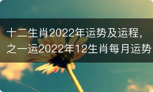 十二生肖2022年运势及运程，之一运2022年12生肖每月运势