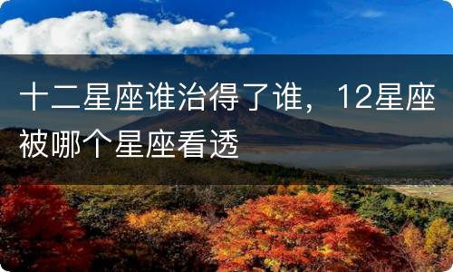 十二星座谁治得了谁，12星座被哪个星座看透