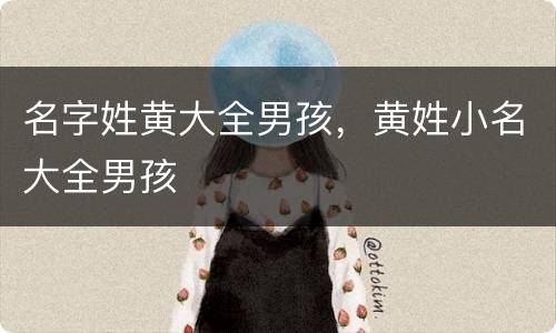 名字姓黄大全男孩，黄姓小名大全男孩